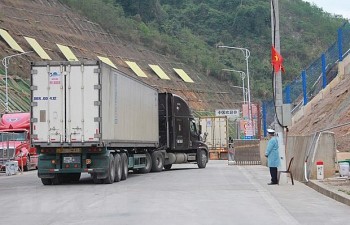 Overseas Vietnamese Contribute in Fight Against Covid 19
