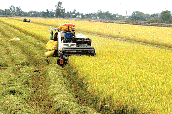 Switzerland Offers Vietnam Nearly US 80 million for Business Environment Improvement