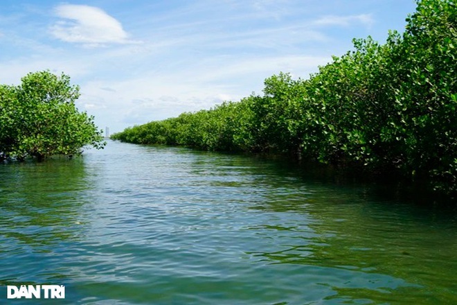 There is a river area “Western” in the heart of Thi Nai lagoon
