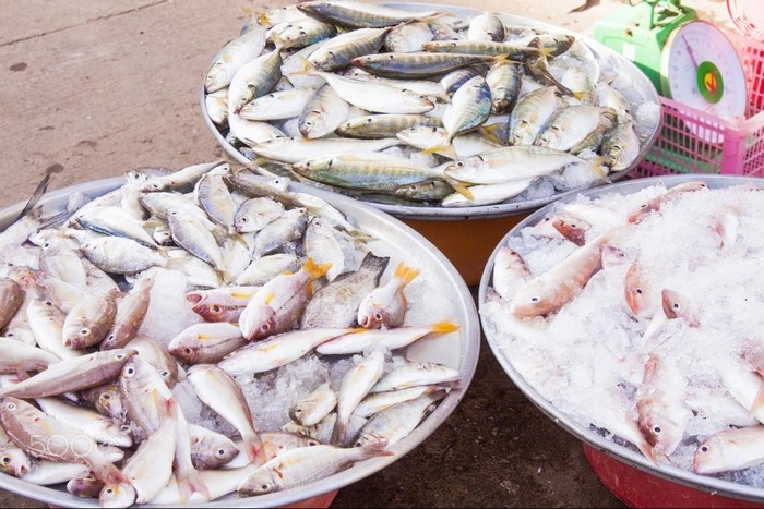 Top 4 best seafood paradise in Vietnam