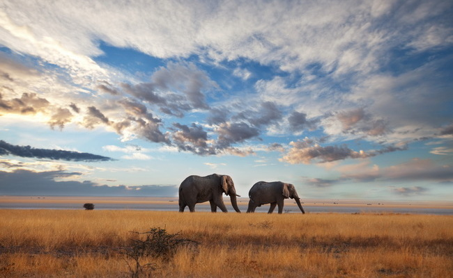 Top 10 Perfect Destinations For Solo Travellers