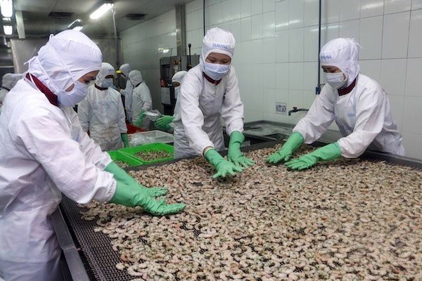 VASEP proposes reducing multiple fees for seafood firms