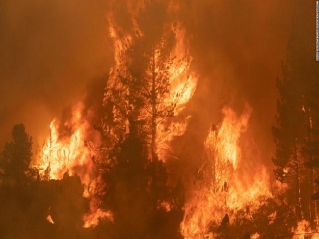 Russian firefighting plane crashes in Turkey, eight killed - Ifax