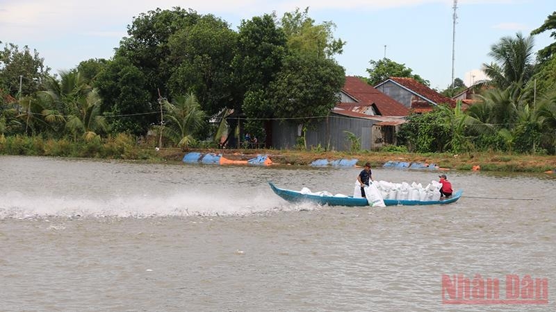 Conference seeks solutions to boost tra fish chain after social distancing