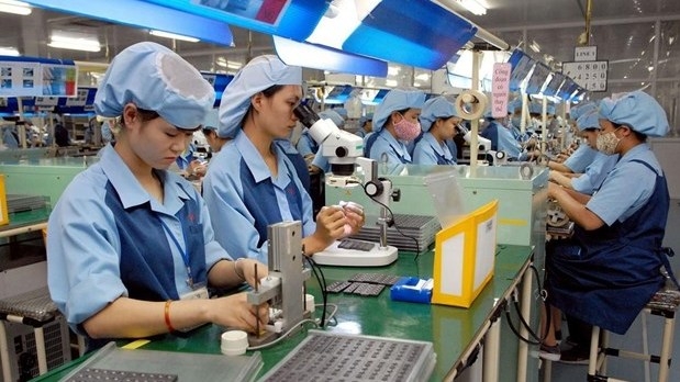 Firms given recommendations to develop sustainably, realise dual goals