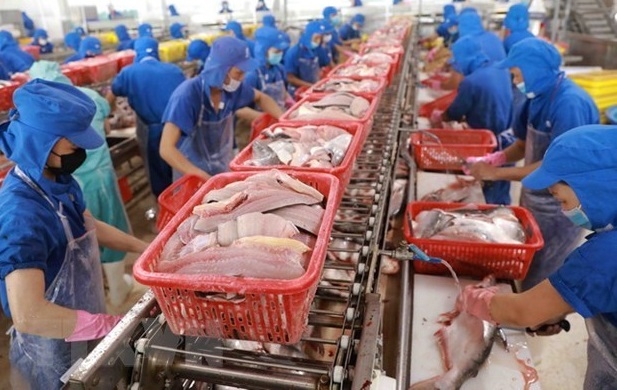 Many Vietnamese seafood exporters are not subject to US anti-dumping tariffs