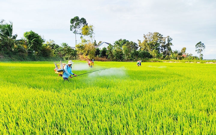 Restoring production in key agricultural areas