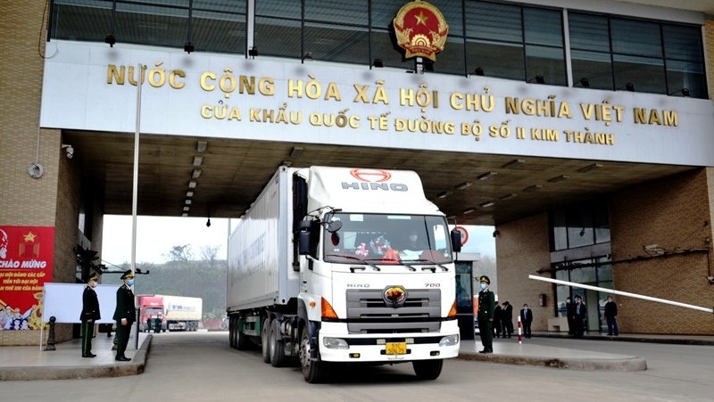 Vietnam resumes export of fresh bananas to China