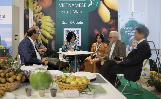 Vietnamese specialty fruits introduced at famous Italian fruit fair