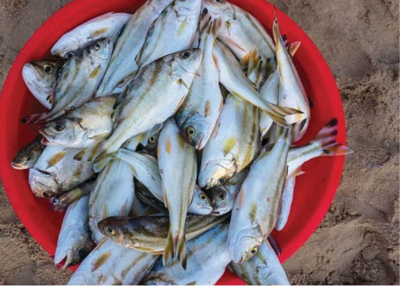“Escape” to Vinh Thanh sea