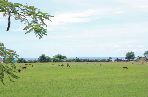 Experience trekking Nui Chua – Ninh Thuan latest update details