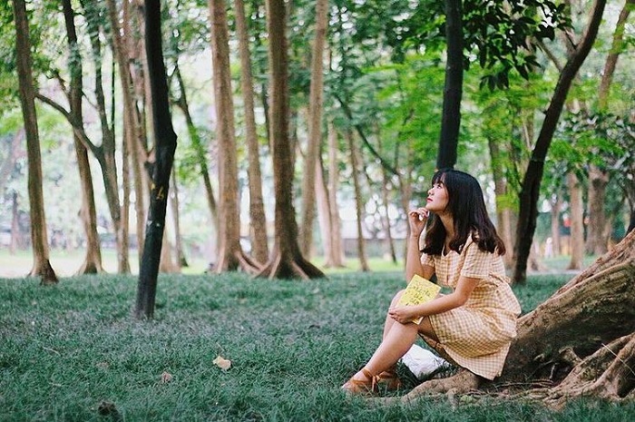 Hanoi Botanical Garden – the place that encapsulates the green color of the capital