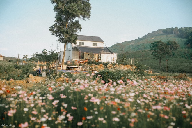 Leaving the street to a place without electricity to build a ‘Dalat homestay’