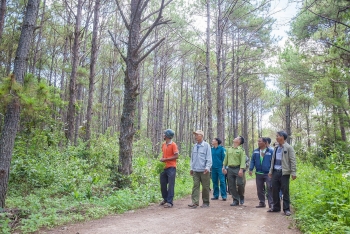 USAID Launches Projects to Support Disabled People in Vietnam