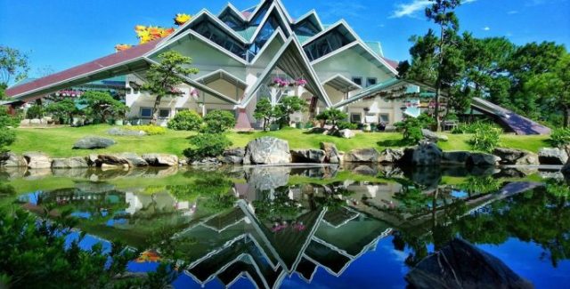 Da Lat maple leaf tourist area changes color