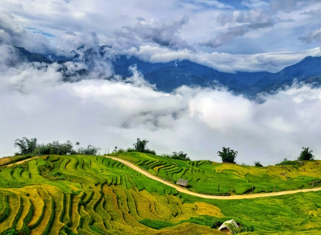 Discovering Ngải Thầu Thượng, the highest village in Lào Cai