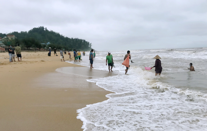People go to the sea to pick up ‘heavenly fortune’