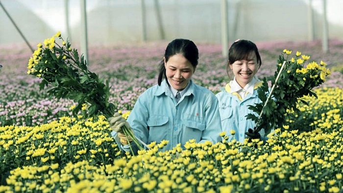 Digital transformation helps boost rural tourism