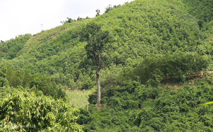 ‘Treasures’ in Ben En National Park