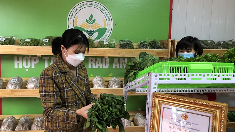 Hanoi boosts sale of OCOP products in suburban areas