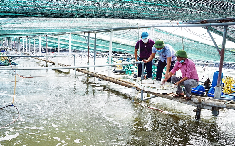 Provinces south of the Red River Delta boost marine economy