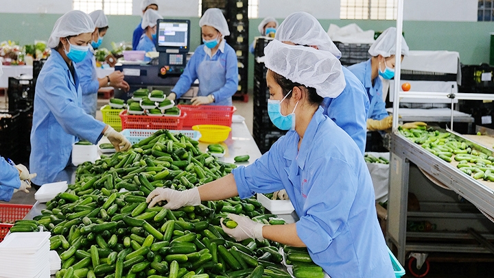 Vietnam promotes export of key agricultural products