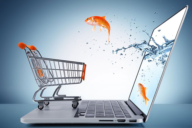 E-commerce experienced a impressive growth speed