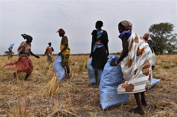 UNSC: Vietnamese diplomat visits South Sudan as Chair of Committee 2206