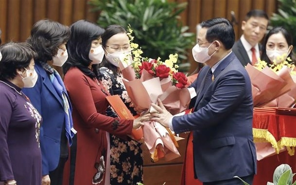 Vietnam Friendship Parliamentarians Organisation set up