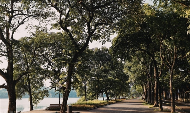 Photo contest launched to capture green Hà Nội