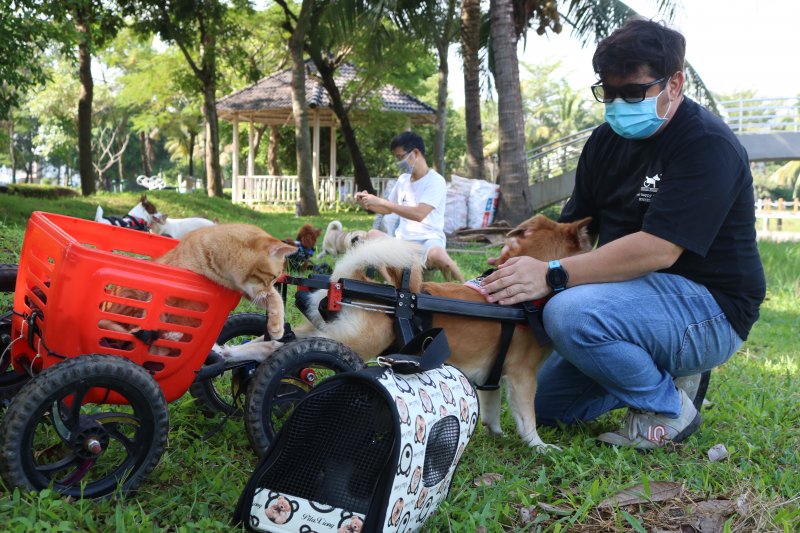 Vietnamese-Colombian couple devotes heart, efforts to helping paralyzed ...