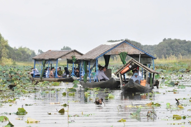 Tourists are excited to see catching field mice in Dong Thap