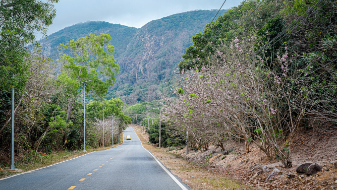8 unforgettable experiences in Con Dao in the windy season