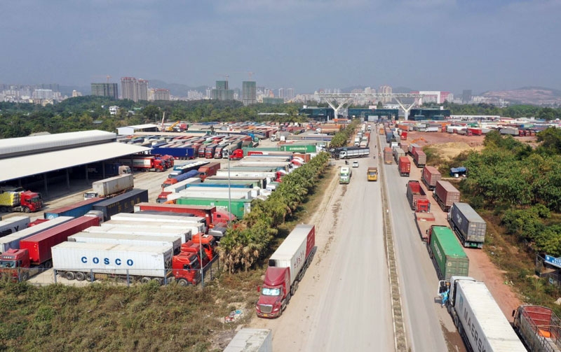 Deputy PM directs settlement of congestion of agricultural products in Lang Son