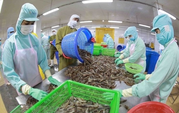 Vietnam ranks fifth among aquatic product exporters of Japan