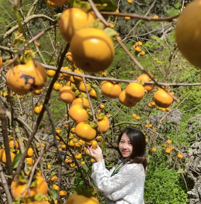 December check-in with Moc Chau fruits
