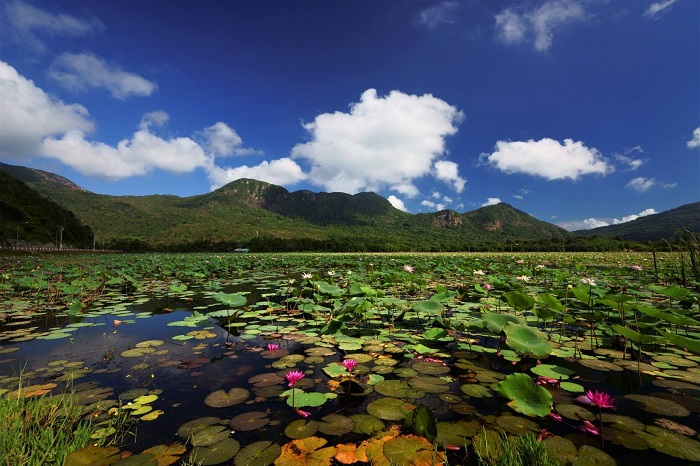Explore An Hai Lake Con Dao to admire the beautiful scenery like a ‘paradise under the earth’