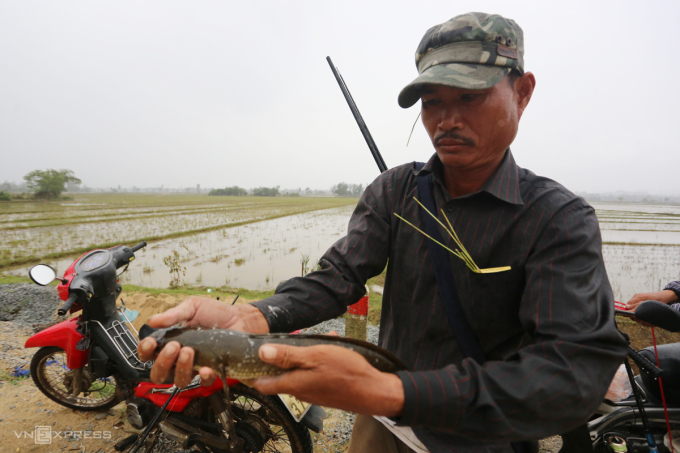 Fishing for snakehead fish