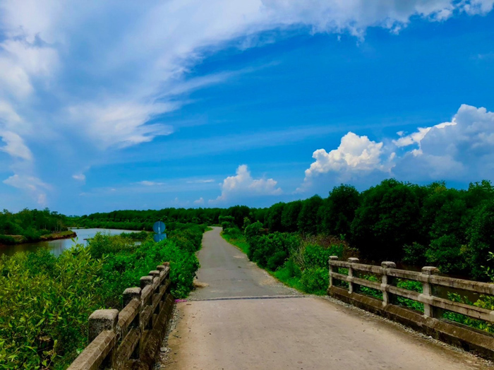 Going to the wild but poetic Con Nhan beach of the coconut land of Ben Tre