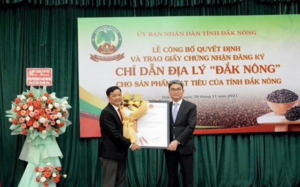 Dak Nong receives geographical indication for locally grown pepper