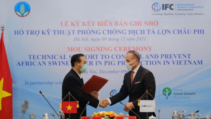 IFC supports Vietnam in African swine fever prevention