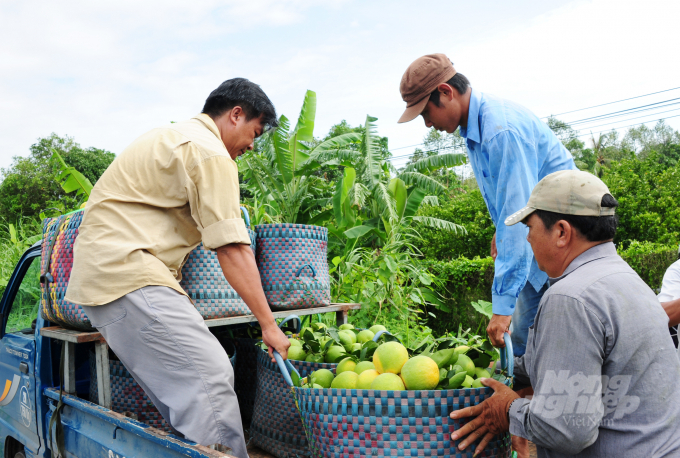The Mekong Delta copes with climate change