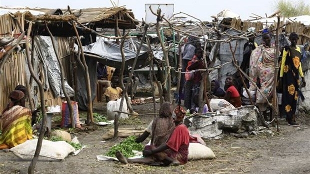 Vietnam calls for promoting dialogues, reconciliation in Sudan