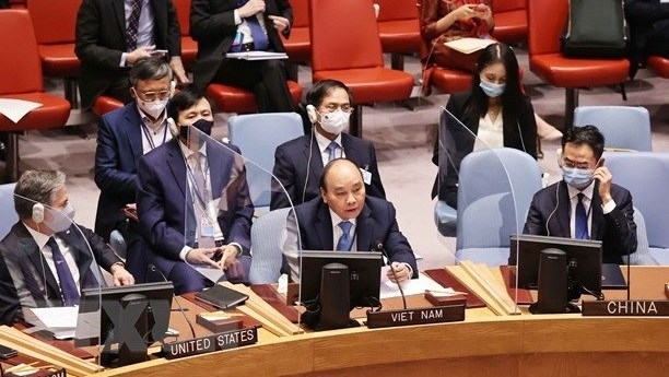 Vietnam makes valuable contributions to UNSC: UK Permanent Representative to UN