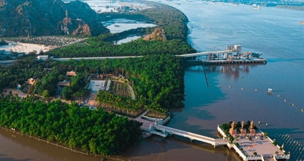 Preserving Bạch Đằng relic site