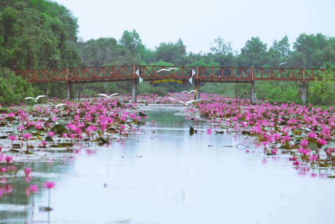 Relax in the ‘Endless Field’