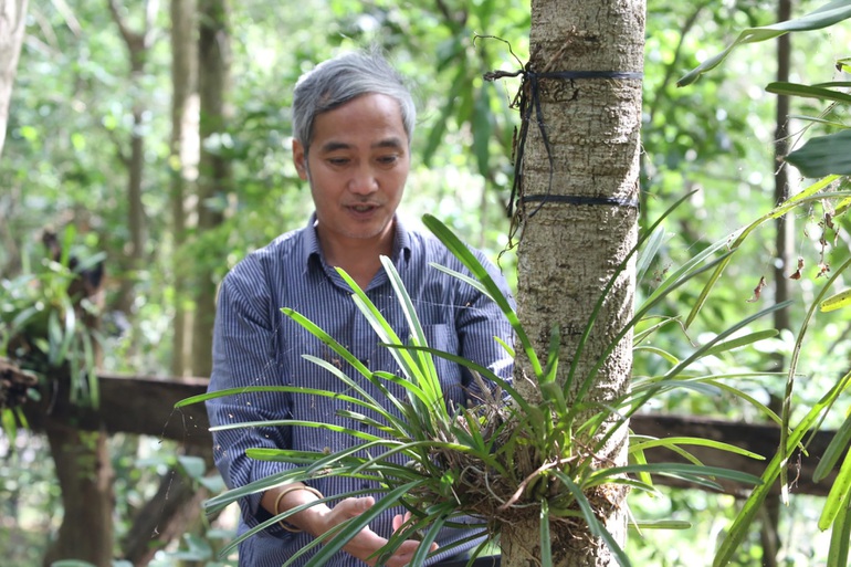 See firsthand the largest orchid garden in Vietnam, with 200 types of “rare, hard to find”