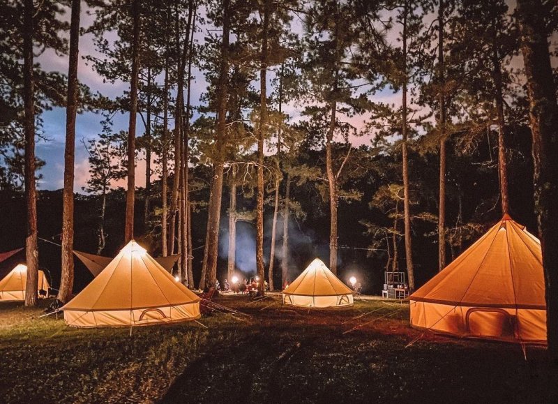 Luxury Camping In Da Lat On The First Day Of The Year » Vietnam News 