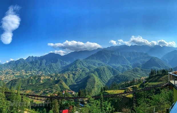 Lao Cai: herbal medicines help to boost tourism