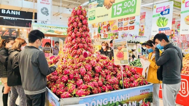 Supermarkets support farmers to sell dragon fruit